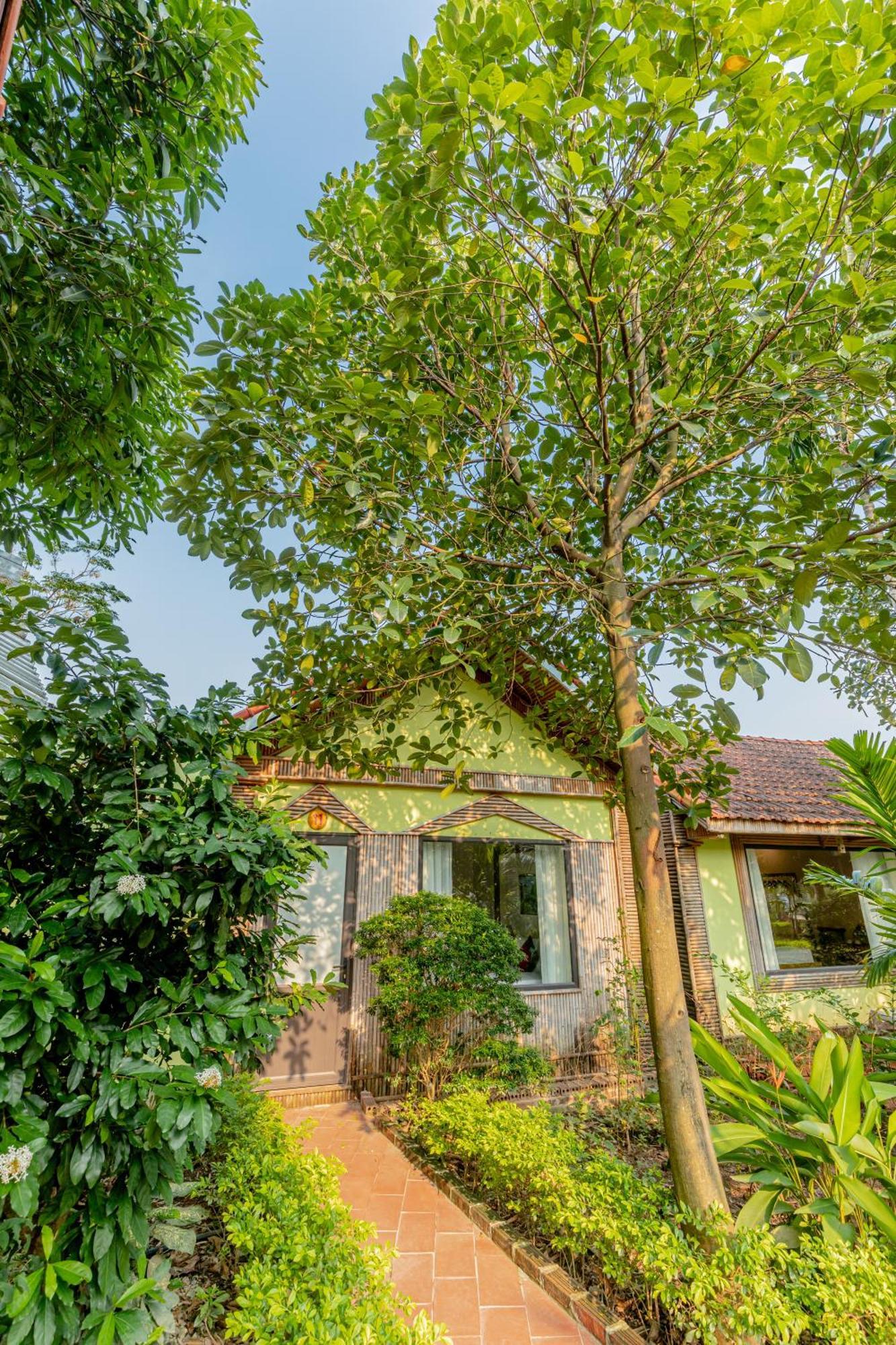 Tam Coc Green Garden Bungalow Ніньбінь Екстер'єр фото