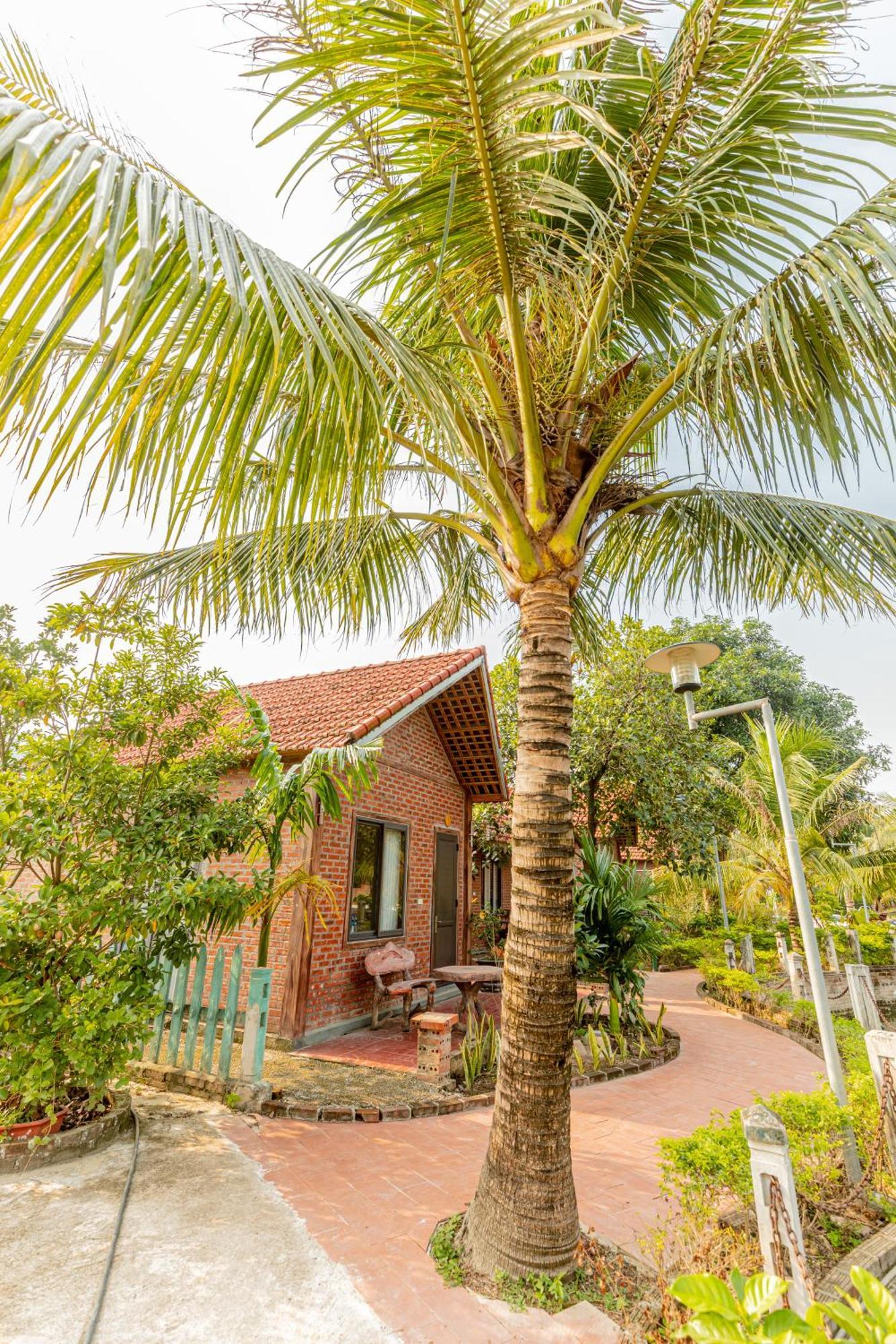 Tam Coc Green Garden Bungalow Ніньбінь Екстер'єр фото