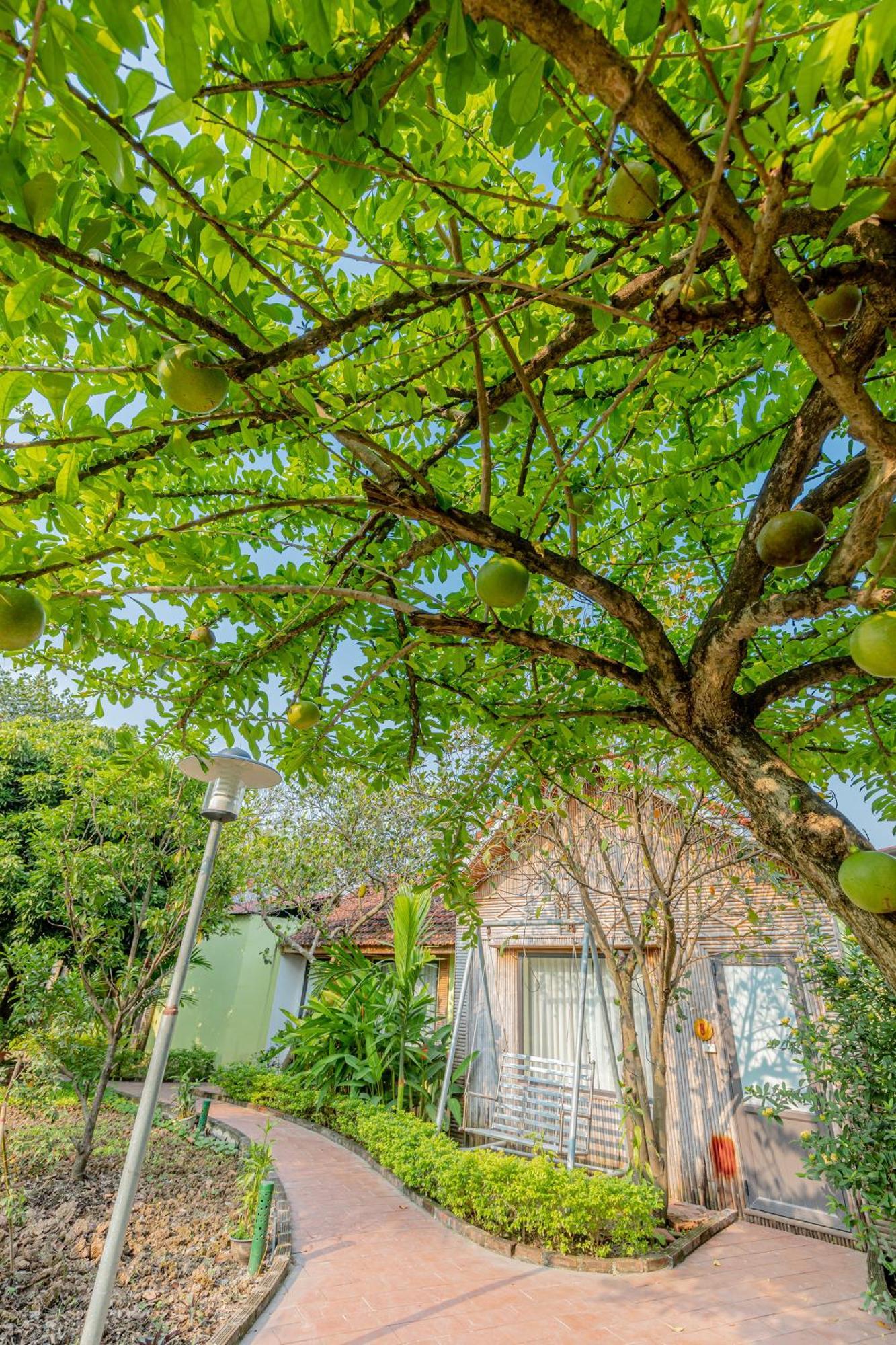 Tam Coc Green Garden Bungalow Ніньбінь Екстер'єр фото